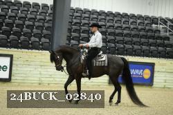 24BUCK_02840 thumbnail