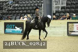 24BUCK_02842 thumbnail