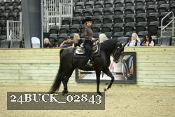 24BUCK_02843 thumbnail