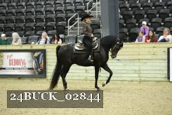24BUCK_02844 thumbnail