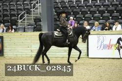 24BUCK_02845 thumbnail