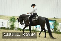 24BUCK_02849 thumbnail