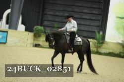 24BUCK_02851 thumbnail
