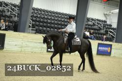 24BUCK_02852 thumbnail