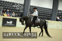 24BUCK_02854 thumbnail