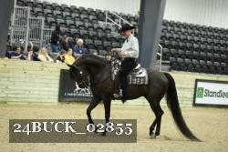 24BUCK_02855 thumbnail