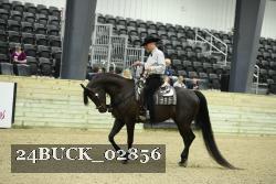 24BUCK_02856 thumbnail