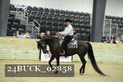24BUCK_02858 thumbnail