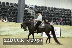 24BUCK_02859 thumbnail