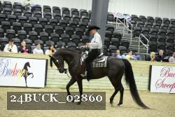 24BUCK_02860 thumbnail