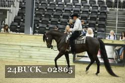 24BUCK_02865 thumbnail