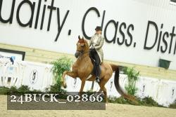 24BUCK_02866 thumbnail