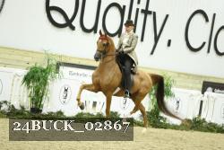 24BUCK_02867 thumbnail
