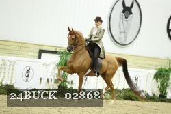 24BUCK_02868 thumbnail