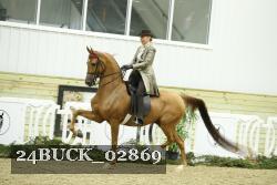 24BUCK_02869 thumbnail