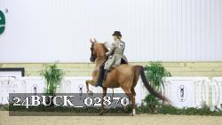 24BUCK_02870 thumbnail