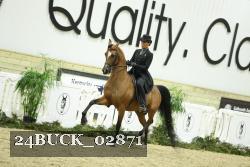 24BUCK_02871 thumbnail