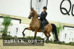 24BUCK_02872 thumbnail