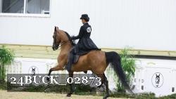24BUCK_02873 thumbnail