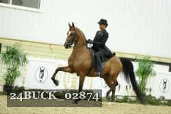24BUCK_02874 thumbnail