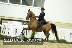 24BUCK_02875 thumbnail