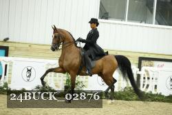 24BUCK_02876 thumbnail