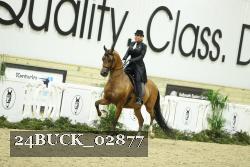 24BUCK_02877 thumbnail