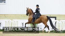 24BUCK_02878 thumbnail