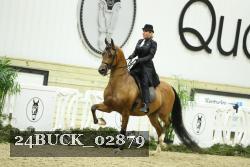 24BUCK_02879 thumbnail