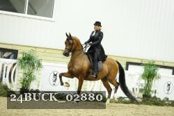 24BUCK_02880 thumbnail