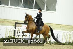 24BUCK_02881 thumbnail