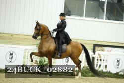 24BUCK_02882 thumbnail