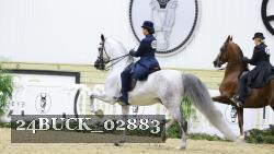 24BUCK_02883 thumbnail
