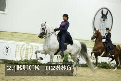 24BUCK_02886 thumbnail