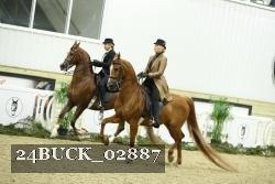 24BUCK_02887 thumbnail