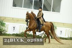24BUCK_02888 thumbnail