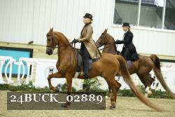 24BUCK_02889 thumbnail