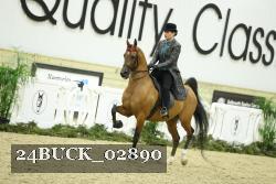 24BUCK_02890 thumbnail