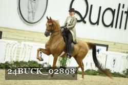 24BUCK_02898 thumbnail