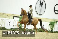 24BUCK_02900 thumbnail