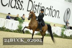 24BUCK_02904 thumbnail
