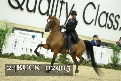 24BUCK_02905 thumbnail
