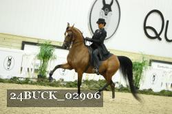24BUCK_02906 thumbnail