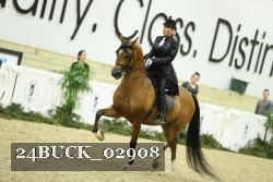 24BUCK_02908 thumbnail