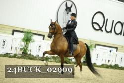 24BUCK_02909 thumbnail