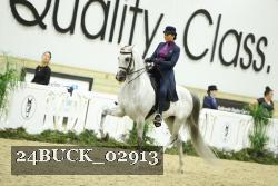 24BUCK_02913 thumbnail
