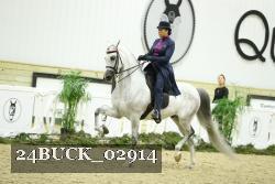 24BUCK_02914 thumbnail