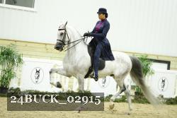 24BUCK_02915 thumbnail