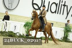 24BUCK_02917 thumbnail