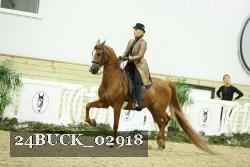 24BUCK_02918 thumbnail